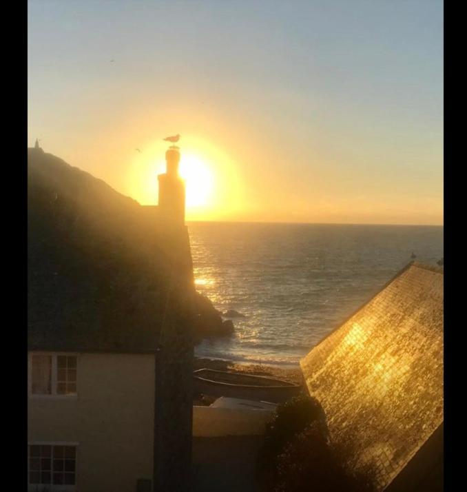 Cadgwith Cove Inn Bagian luar foto